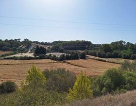 lands for sale in campanet