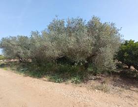 land sale amposta eucaliptus-poble nou del delta by 22,000 eur