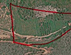lands for sale in els poblets