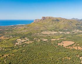 lands for sale in balearic islands
