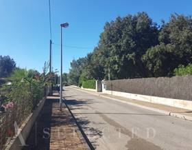 lands for sale in port de alcudia