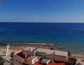 apartments for rent in el albir
