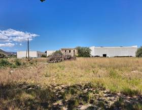 lands for sale in sanet y negrals
