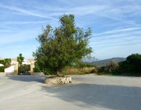lands for sale in benigembla