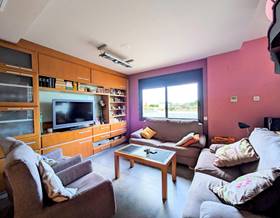 houses for sale in deltebre