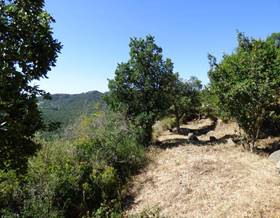 lands for sale in calonge