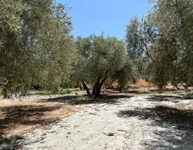 lands for sale in dilar