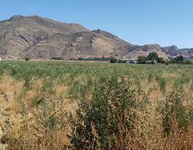 lands for sale in vegas del genil