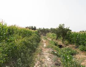 lands for sale in monachil