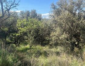 lands for sale in el valle