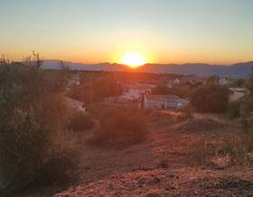 lands for sale in armilla