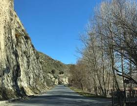 lands for sale in pinos genil