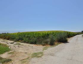 lands for sale in granada province