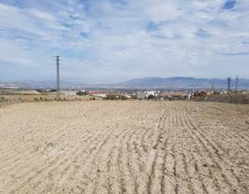 lands for sale in churriana de la vega