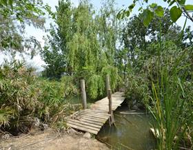 lands for sale in amposta