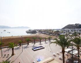apartments for sale in isla plana