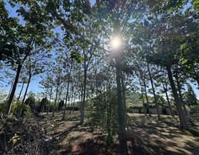 chalet sale pedreguer pedreguer by 600,000 eur