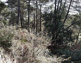 land sale cadalso de los vidrios calle de las palmas by 35,000 eur