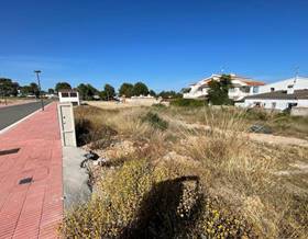 lands for sale in sant carles de la rapita