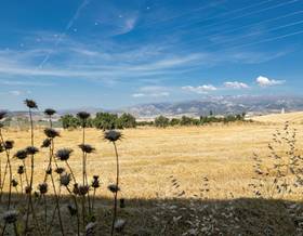 land sale las gabias cortijo san javier by 80,000 eur
