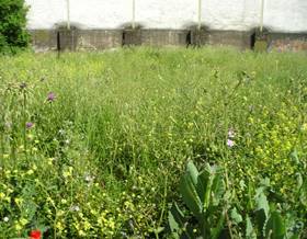 land sale zafra zafra by 53,000 eur