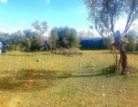 rustic property sale ronda ronda by 195,000 eur