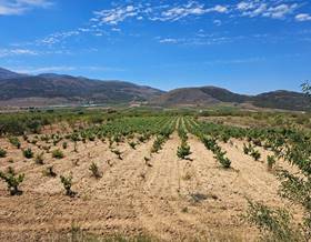 rustic property sale laujar de andarax carretera de guarros by 38,000 eur