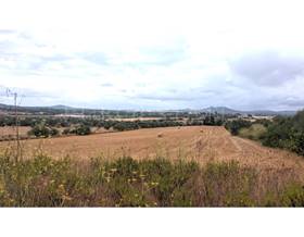 lands for sale in vilafranca de bonany