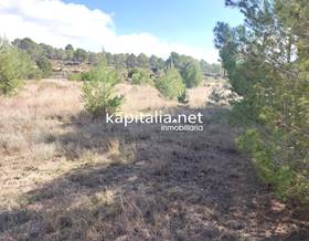 lands for sale in valencia province