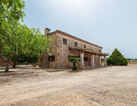 lands for sale in marratxi