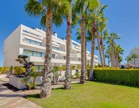 houses for sale in punta prima