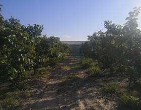 land sale albaida a las afueras by 100,000 eur