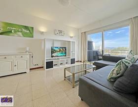apartments for sale in port de alcudia