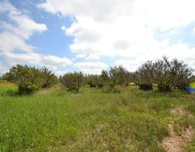 rustic property sale sant jaume d´enveja balada by 28,000 eur