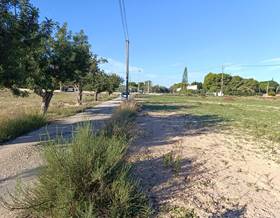 land sale las bayas las bayas-asprillas by 45,000 eur