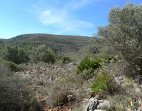 lands for sale in callosa d´en sarria