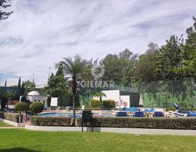 houses for rent in san pedro de alcantara