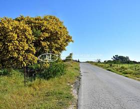 country house sale chiclana de la frontera camino canarias by 225,000 eur