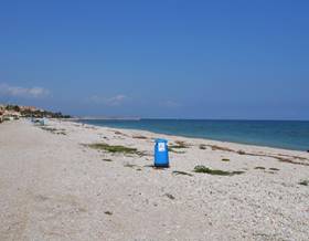 lands for sale in pedreguer