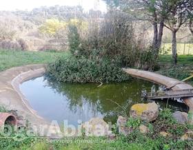 houses for sale in calonge