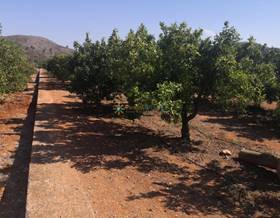 lands for sale in real de gandia