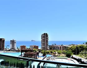 apartments for rent in alicante province
