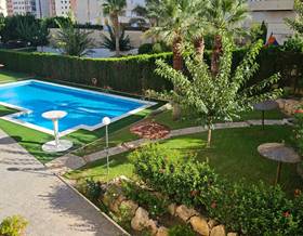 apartments for rent in alfaz del pi