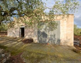 rustic property sale el perello el perelló by 75,000 eur