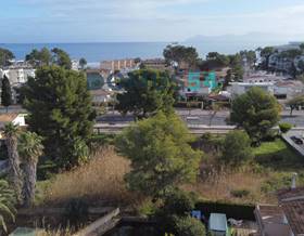 lands for sale in alcudia, islas baleares