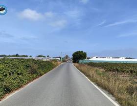 lands for sale in chipiona