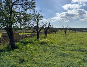 lands for sale in porto cristo