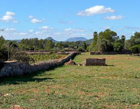 land sale islas baleares santa margalida by 285,000 eur