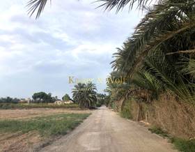 land sale derramador partida daimes by 66,000 eur