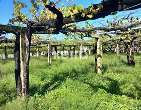 lands for sale in pontevedra province